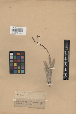 LE 00018192