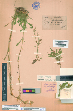 LE 01036333