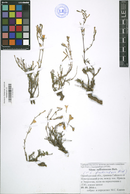 LE 01027502