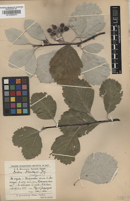 LE 01009433