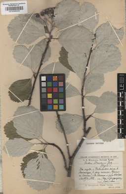 LE 01009434