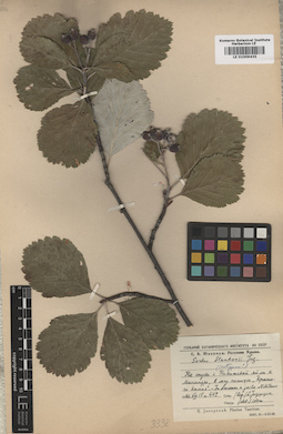 LE 01009435
