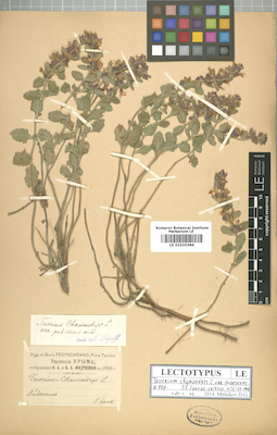 LE 01010384