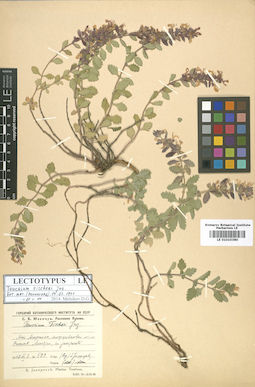 LE 01010380