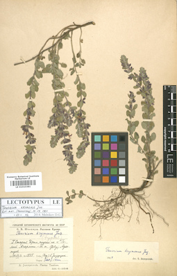 LE 01010381