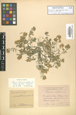 LE 01010388