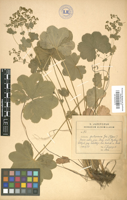 LE 01010273