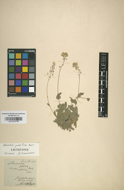 LE 01012779