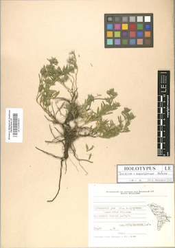 LE 01009303