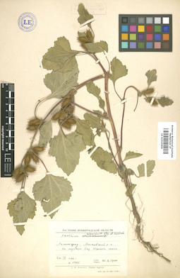 LE 01010404