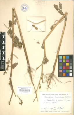 LE 01010230