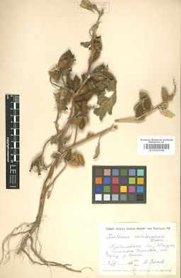 LE 01010204