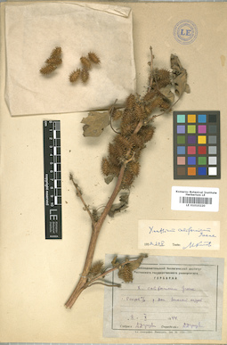 LE 01010220