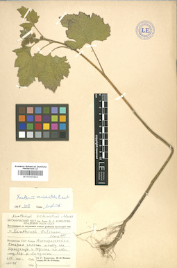 LE 01010222