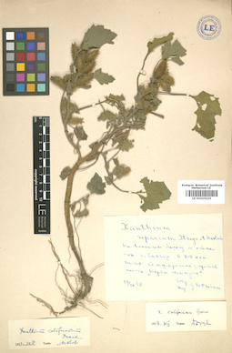 LE 01010223
