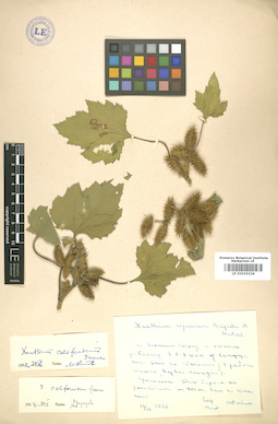 LE 01010224