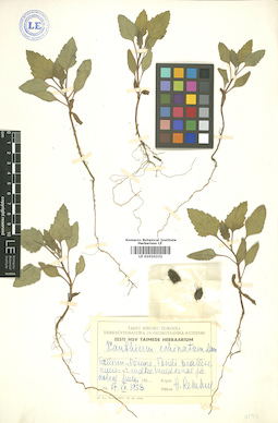 LE 01010232