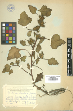 LE 01010233
