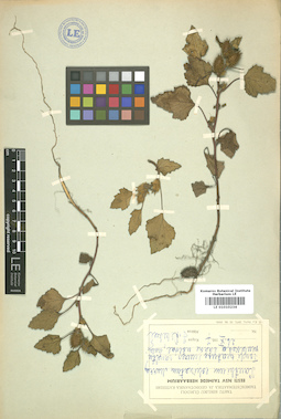 LE 01010234