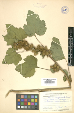 LE 01010231