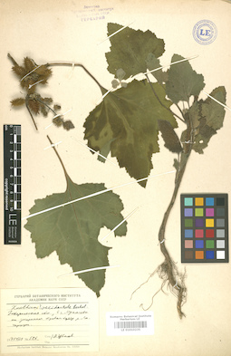 LE 01010235
