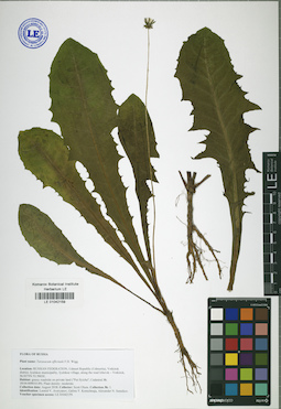 LE 01042159