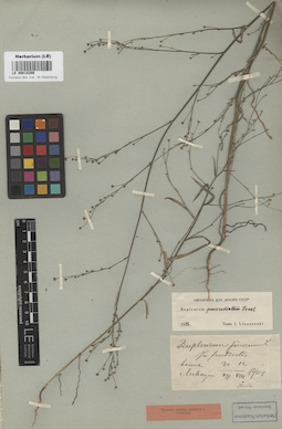 LE 00018206