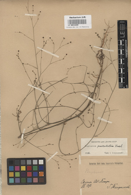 LE 00018209