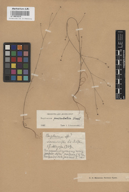 LE 00018210