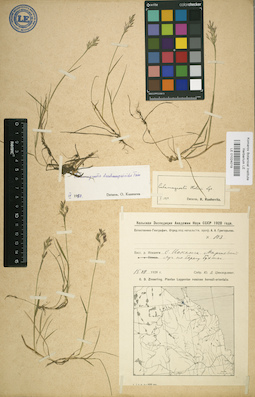 LE 01024019