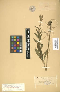 LE 01009456