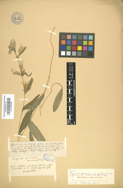 LE 01009458