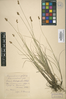 LE 01013889