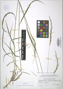 LE 01012742