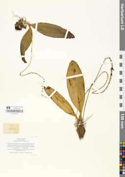 LE 01050156