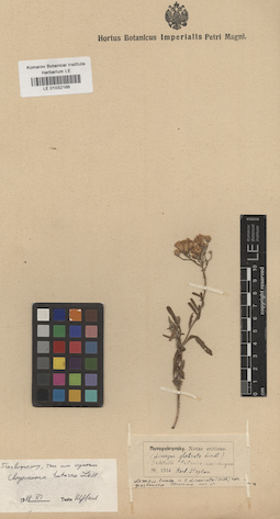 LE 01023166