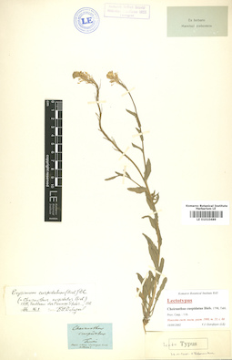 LE 01010489