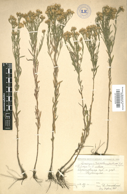 LE 01010256