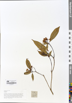 LE 01049718
