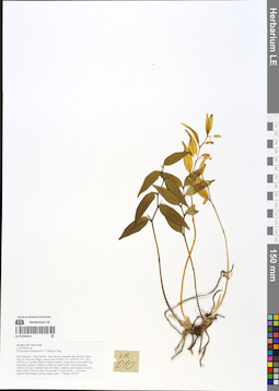 LE 01054016