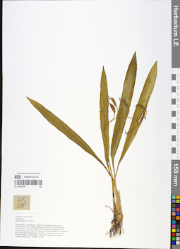 LE 01054078