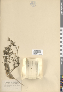 LE 00018646