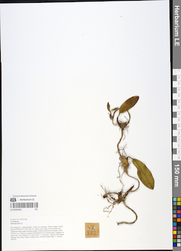LE 01054225