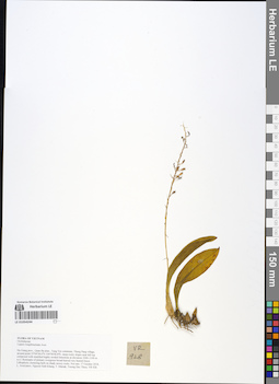 LE 01054244