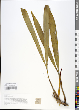LE 01054269