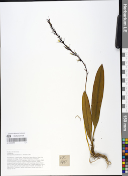 LE 01054290