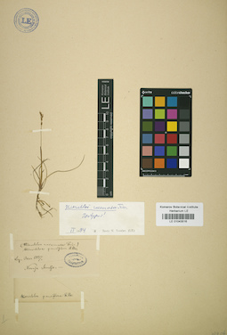 LE 01043516
