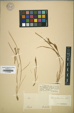 LE 01042986