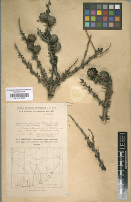 LE 01013822