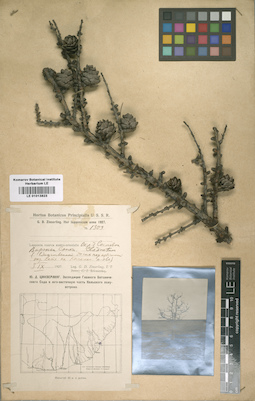 LE 01013823